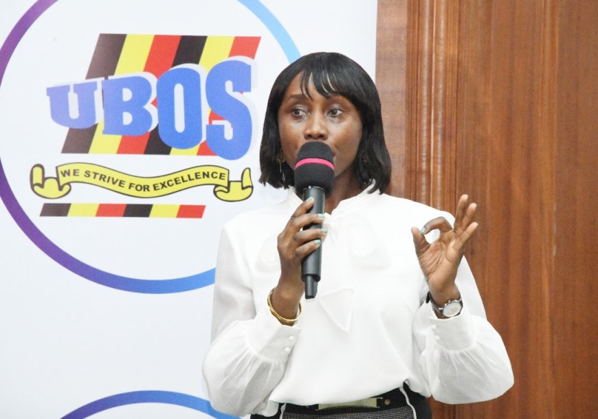 UBOS,MINISTRY OF HEALTH TO LAUNCH NEW MALARIA INDICATOR SURVEY REPORT