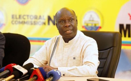 NRM PARTY TO SPEND 5BILLION IN LOCAL COUNCIL ELECTIONS