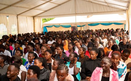 Fawe Empowers 480 Youth Acess University Education
