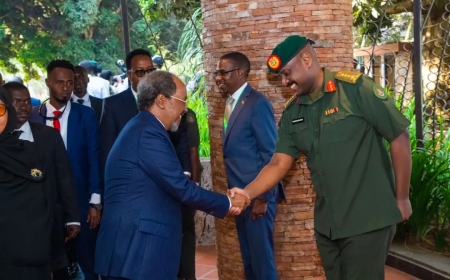 Museveni  Assures Somalia of Peace and Stability