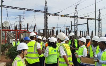 Ministry of Energy Grilled Over 17.3Billion Electrificaion Fund