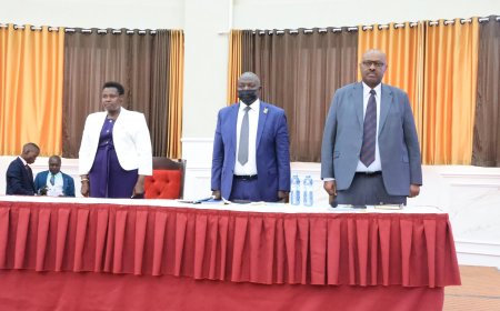 Vice President Commends  Ministry Of Local  Government Anti-Corruption Drive