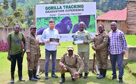 Czech Republic Speaker Names Baby Gorilla 'Tomáš' During Uganda Visit