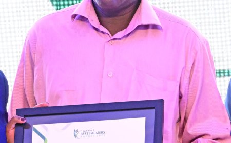 How Dfcu Bank's Best Farmers Awards Turned Zubair Mukaaya’s Poultry Dream into a 10,000+ Bird Enterprise