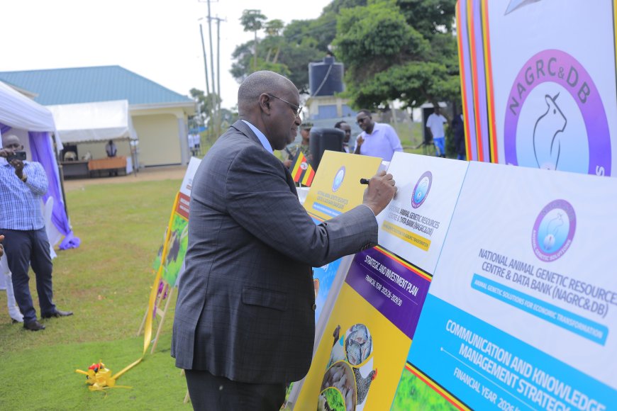 NAGRIC  launches New Strategic Plan To Improve Livestock Breeding,