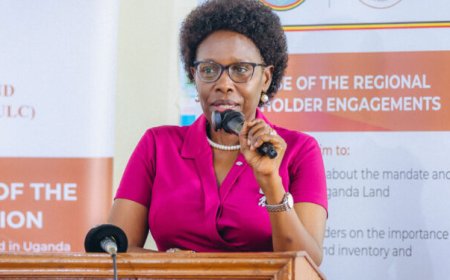 GOVERNMENT SUSPENDS ISSUANCE OF  LAND TITLES