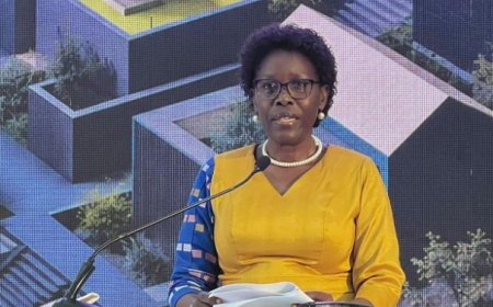 Uganda Urged To  Build  Smarter  Climate Resielennt Homes