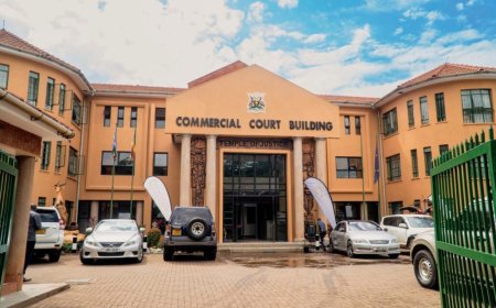 Court Slams Gumboots Manufacturer Over Cheap Knockoffs